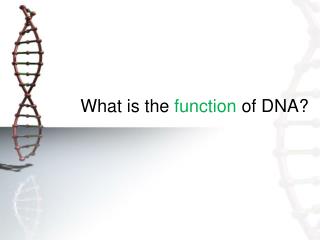 What is the function of DNA?