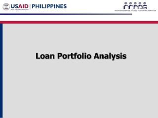 Loan Portfolio Analysis