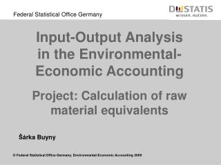 Input-Output Analysis in the Environmental-Economic Accounting