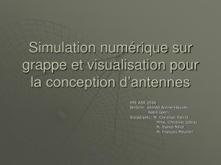 Simulation numérique sur grappe et visualisation pour la conception d’antennes