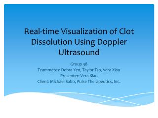 Real-time Visualization of Clot Dissolution Using Doppler Ultrasound
