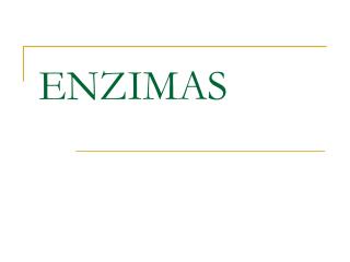 ENZIMAS