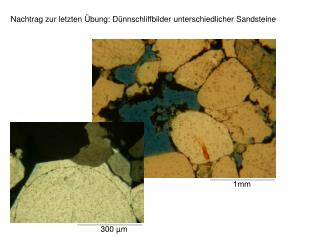 Nachtrag zur letzten Übung: Dünnschliffbilder unterschiedlicher Sandsteine