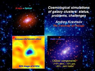 X-rays + Optical