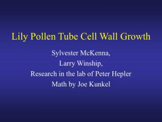 Lily Pollen Tube Cell Wall Growth