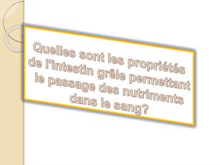 Quelles sont les propriétés de l'intestin grêle permettant le passage des nutriments dans le sang?