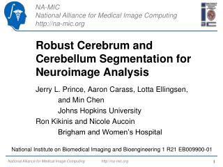 Robust Cerebrum and Cerebellum Segmentation for Neuroimage Analysis