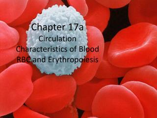 Chapter 17a Circulation Characteristics of Blood RBC and Erythropoiesis