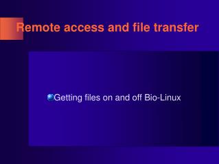 Remote access and file transfer