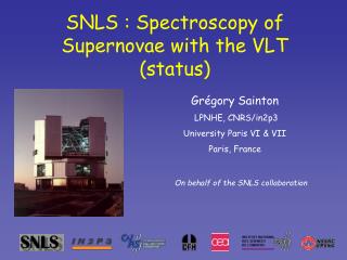 SNLS : Spectroscopy of Supernovae with the VLT (status)