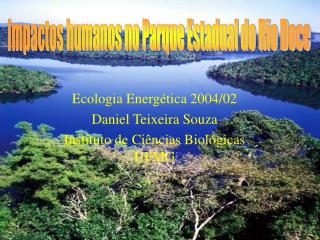 Ecologia Energética 2004/02 Daniel Teixeira Souza Instituto de Ciências Biológicas UFMG