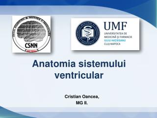 Anatomia sistemului ventricular