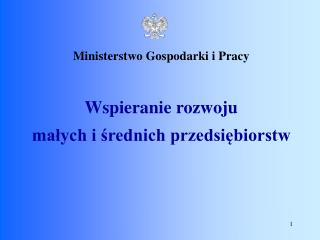 Ministerstwo Gospodarki i Pracy Wspieranie rozwoju małych i średnich przedsiębiorstw