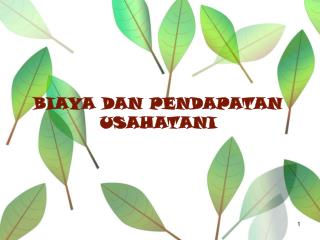 BIAYA DAN PENDAPATAN USAHATANI