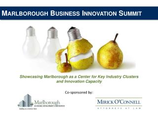 Marlborough Business Innovation Summit