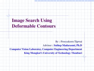 Image Search Using Deformable Contours