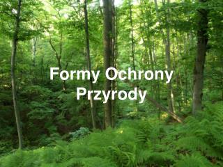 Formy Ochrony Przyrody