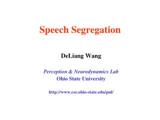 Speech Segregation