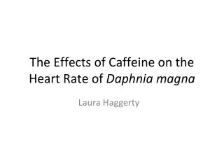 The Effects of Caffeine on the Heart Rate of Daphnia magna