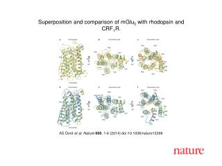 AS Dor é et al. Nature 000 , 1-6 (2014) doi:10.1038/nature13396