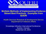 Multiple Methods of Implementing Evidence Based Best Practices: Examples from QUERI Health Services Research Developm