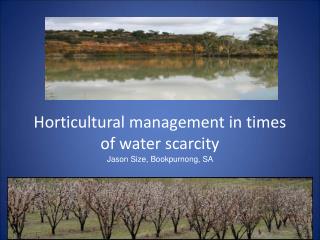 Horticultural management in times of water scarcity