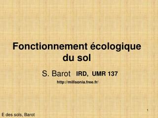 Fonctionnement écologique du sol