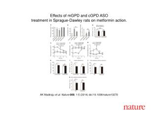 AK Madiraju et al. Nature 000 , 1-5 (2014) doi:10.1038/nature13270