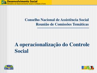 Conselho Nacional de Assistência Social Reunião de Comissões Temáticas