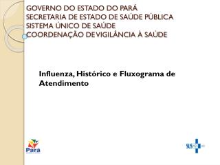 Influenza, Histórico e Fluxograma de Atendimento