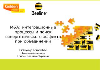M&amp;A: интеграционные процессы и поиск синергетического эффекта при объединении Любомир Коцюмбас