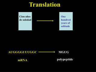 Translation