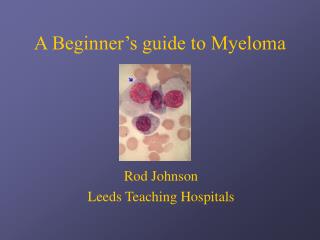 A Beginner’s guide to Myeloma