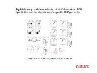 J Nedjic et al. Nature 000 , 1-5 (2008) doi:10.1038/nature07208