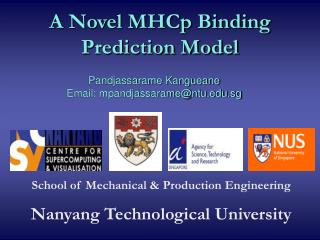 A Novel MHCp Binding Prediction Model