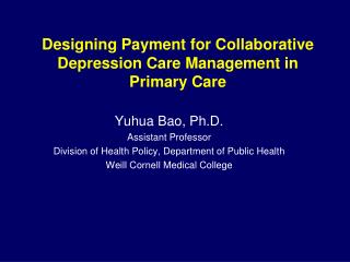 Designing Payment for Collaborative Depression Care Management in Primary Care