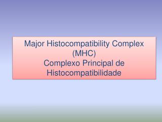 Major Histocompatibility Complex (MHC) Complexo Principal de Histocompatibilidade