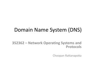 Domain N ame System (DNS)