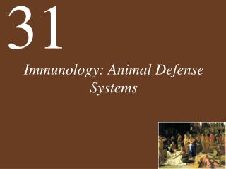 Immunology: Animal Defense Systems