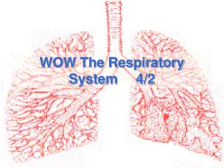 WOW The Respiratory System	4/2