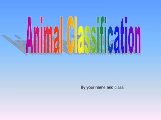 Animal Classification