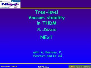 Tree-level Vac cum stability in THDM R. Santos NExT