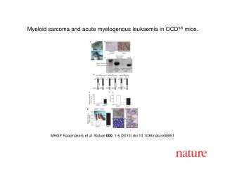 MHGP Raaijmakers et al. Nature 000 , 1 - 6 (2010) doi:10.1038/nature08 851