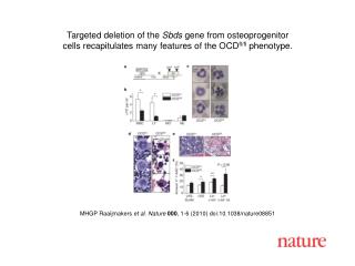 MHGP Raaijmakers et al. Nature 000 , 1 - 6 (2010) doi:10.1038/nature08 851