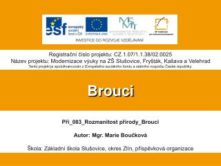 Brouci