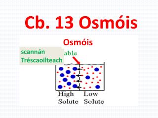 Cb . 13 Osmóis