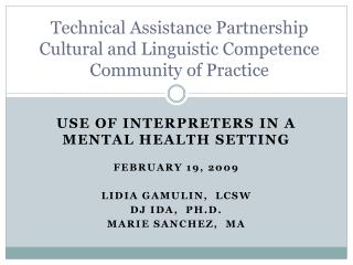 USE OF INTERPRETERS IN A MENTAL HEALTH SETTING FEBRUARY 19, 2009 LIDIA GAMULIN, LCSW