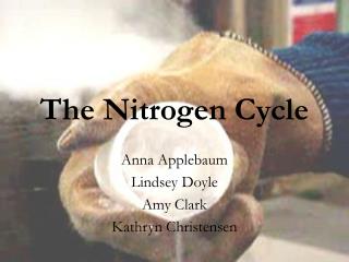 The Nitrogen Cycle