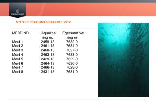 Oversikt ringer skipningsdalen 2013