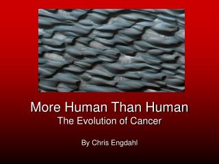 More Human Than Human The Evolution of Cancer By Chris Engdahl